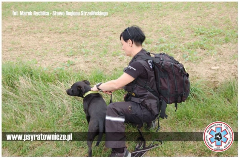 Psi ratownik odnalazł zaginionego mężczyznę - 
