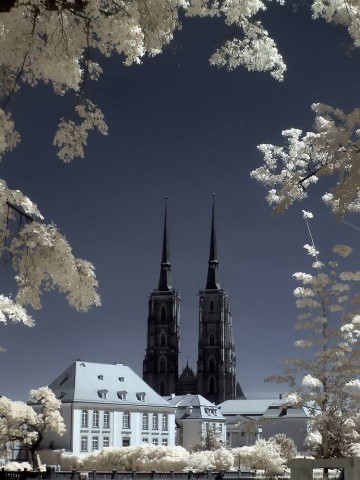 Zaczarował Wrocław i... odkrył go na nowo [ZOBACZ] - 27