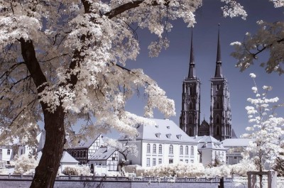 Zaczarował Wrocław i... odkrył go na nowo [ZOBACZ] - 33