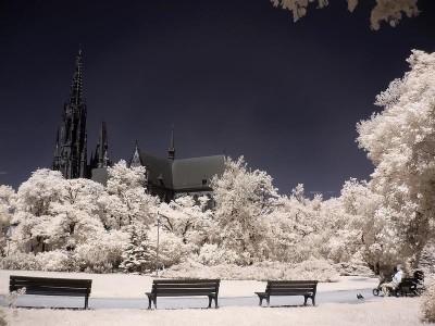 Zaczarował Wrocław i... odkrył go na nowo [ZOBACZ] - 11