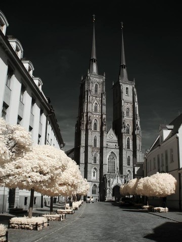 Zaczarował Wrocław i... odkrył go na nowo [ZOBACZ] - 12