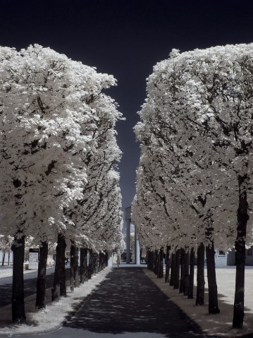 Zaczarował Wrocław i... odkrył go na nowo [ZOBACZ] - 22