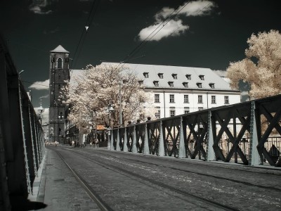 Zaczarował Wrocław i... odkrył go na nowo [ZOBACZ] - 3