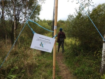 Badania ptaków nad zalewem Bukówka  [FOTO] - 13