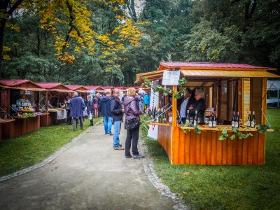 Święto sera i wina na wrocławskich Pawłowicach [FOTO] - 14