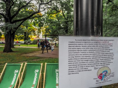 Wrocław: Nietypowy festyn na Gajowicach [FOTO] - 1