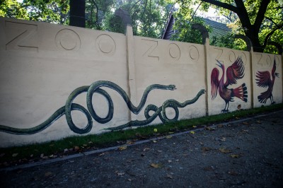 Wrocław: Odsłonięto odnowiony mural na ogrodzeniu wrocławskiego zoo  - 4