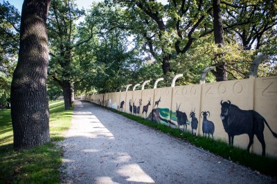 Wrocław: Odsłonięto odnowiony mural na ogrodzeniu wrocławskiego zoo  - 6