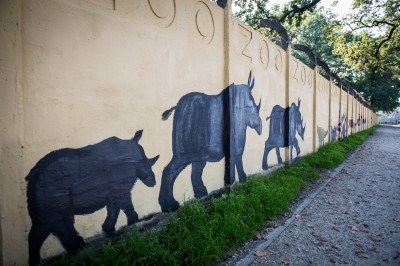 Wrocław: Odsłonięto odnowiony mural na ogrodzeniu wrocławskiego zoo  - 7