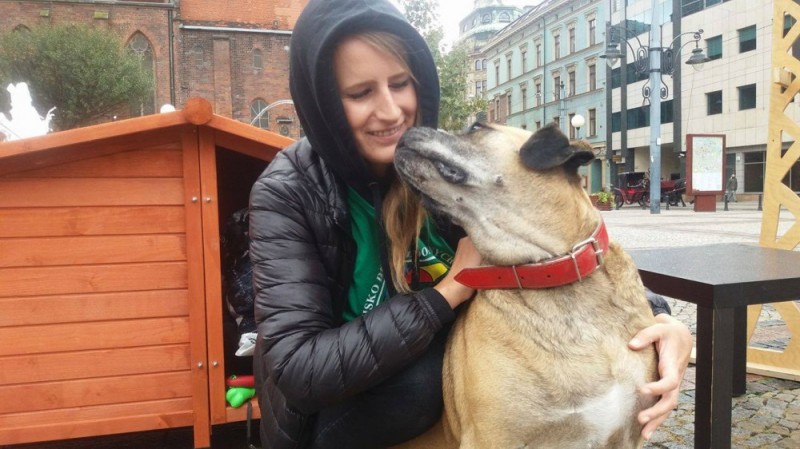 Zerwijmy łańcuchy - akcja obrońców praw zwierząt we Wrocławiu - fot. Elżbieta Osowicz