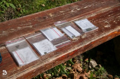 Niezwykłe znalezisko w Zamku Grodno. Odkryto bullę papieską [ZOBACZ] - 5