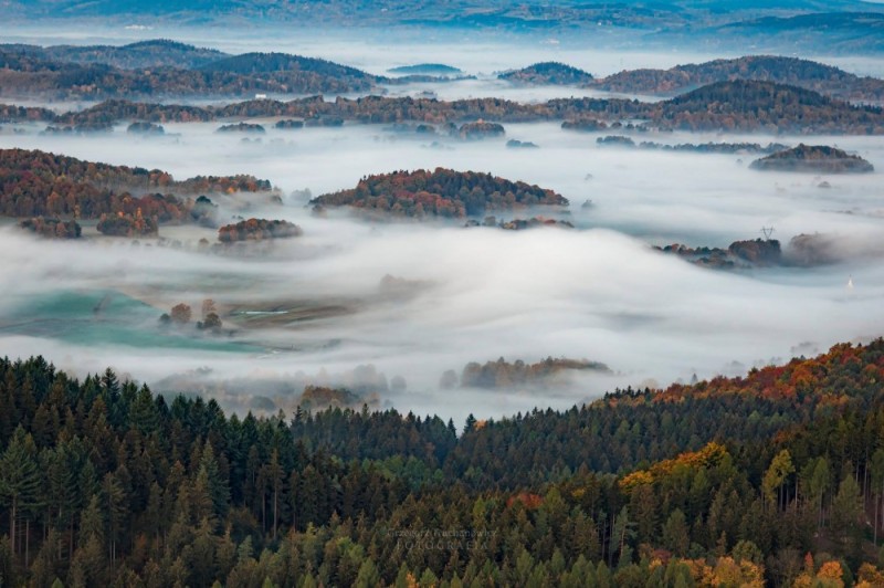 Włącz dźwięk i płyń przez mgły... - Zdjęcia: Grzegorz Truchanowicz