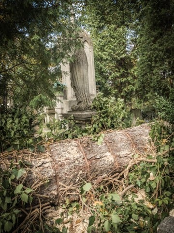 Cmentarz Łyczakowski we Lwowie: "Proście wy Boga o takie mogiły, które łez nie chcą, ni skarg, ni żałości..." [REPORTAŻ] - 67