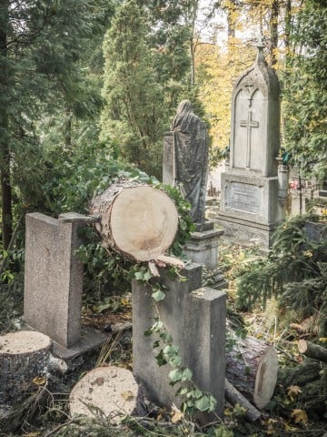 Cmentarz Łyczakowski we Lwowie: "Proście wy Boga o takie mogiły, które łez nie chcą, ni skarg, ni żałości..." [REPORTAŻ] - 74