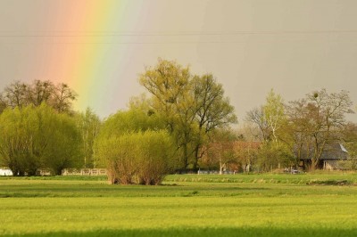 Magiczny świat w obiektywie Kazimierza Laskowicza [UNIKALNE ZDJĘCIA] - 31