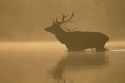 Magiczny świat w obiektywie Kazimierza Laskowicza [UNIKALNE ZDJĘCIA] - 33