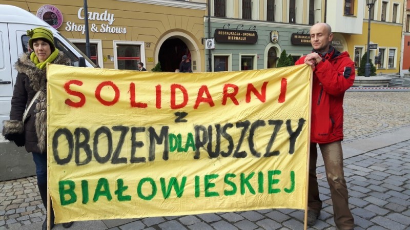 Wrocław: Protestują przeciwko wycince Puszczy Białowieskiej - 