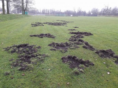 Nowe boisko baseballowe we Wrocławiu zdewastowane [ZDJĘCIA] - 1