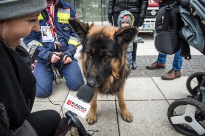 WOŚP dla noworodków. Na koniec poleciało "Światełko do Nieba" [WIDEO, ZDJĘCIA] - 3