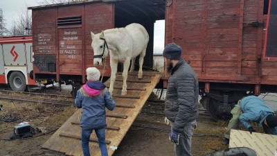 Jan Jakub Kolski kręci na Dolnym Śląsku "Ułaskawienie" [ZDJĘCIA] - 11