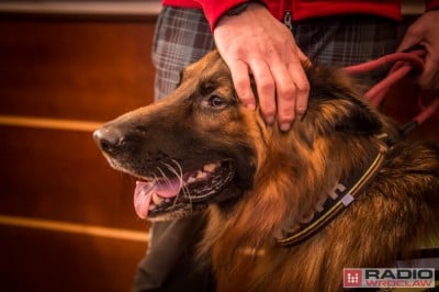 Uniwersytet Przyrodniczy bierze pod opiekę mundurowych czworonog&oacute;w