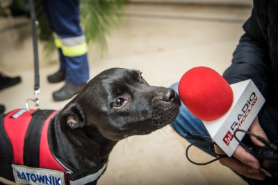 Uniwersytet Przyrodniczy bierze pod opiekę mundurowych czworonogów - 12