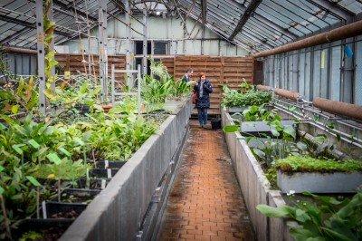 Pierwsze w historii zimowe otwarcie ogrodu botanicznego [ZDJĘCIA] - 13