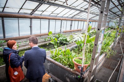 Pierwsze w historii zimowe otwarcie ogrodu botanicznego [ZDJĘCIA] - 14