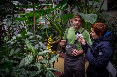 Pierwsze w historii zimowe otwarcie ogrodu botanicznego [ZDJĘCIA] - 18