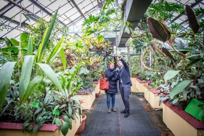 Pierwsze w historii zimowe otwarcie ogrodu botanicznego [ZDJĘCIA] - 22