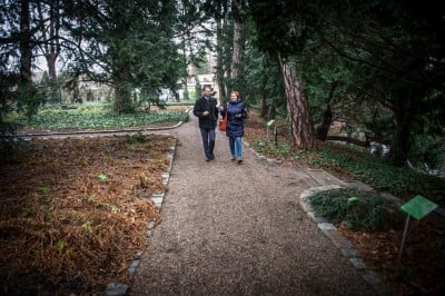 Pierwsze w historii zimowe otwarcie ogrodu botanicznego [ZDJĘCIA] - 2