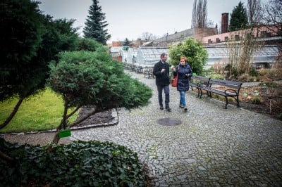 Pierwsze w historii zimowe otwarcie ogrodu botanicznego [ZDJĘCIA] - 3