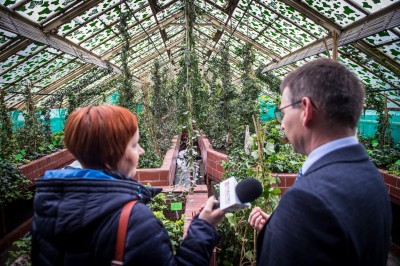 Pierwsze w historii zimowe otwarcie ogrodu botanicznego [ZDJĘCIA] - 6