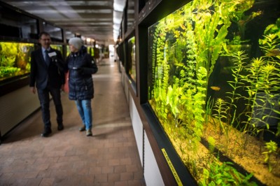 Pierwsze w historii zimowe otwarcie ogrodu botanicznego [ZDJĘCIA]