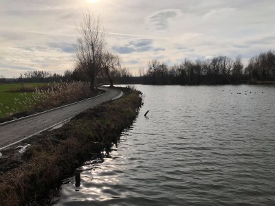 Pierwsza część rowerostrady na północy Dolnego Śląska otwarta [FOTO,WIDEO] - 4