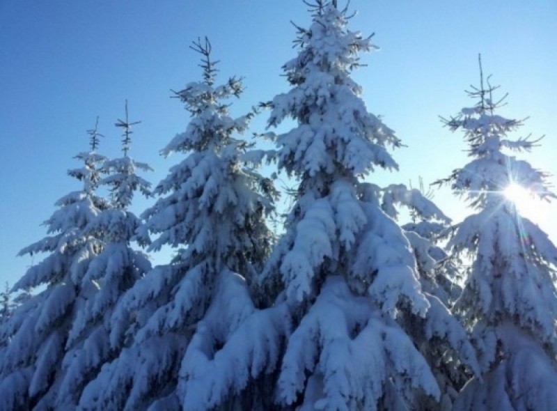 Dziś maksymalnie -1°C, miejscami opady śniegu [PROGNOZA] - fot. archiwum prw.pl
