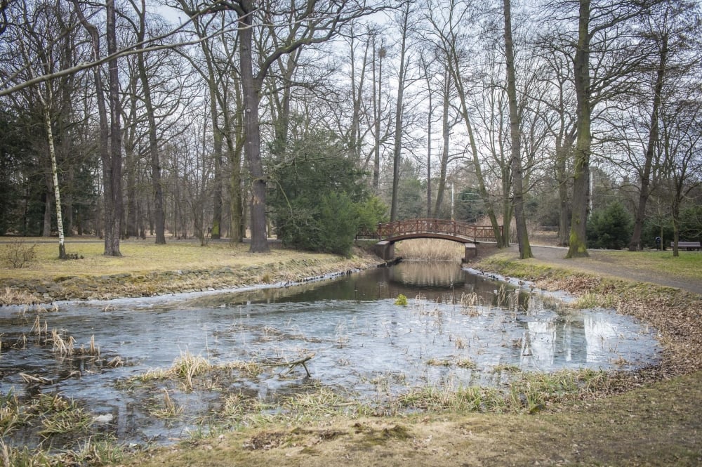 Wrocław: rewolucja w Parku Szczytnickim. 4,5 mln złotych na przebudowę