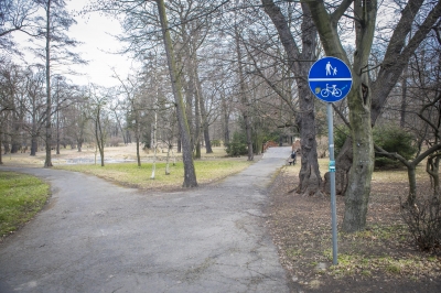 Wrocław: rewolucja w Parku Szczytnickim. 4,5 mln złotych na przebudowę - 13