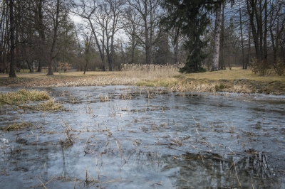 Wrocław: rewolucja w Parku Szczytnickim. 4,5 mln złotych na przebudowę - 14