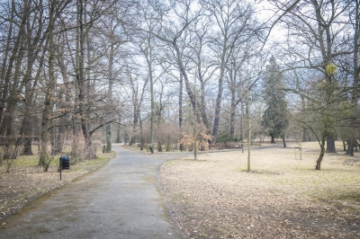 Wrocław: rewolucja w Parku Szczytnickim. 4,5 mln złotych na przebudowę - 15