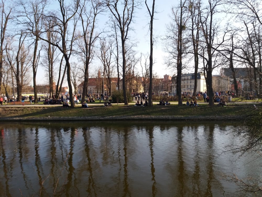Wrocław: G&oacute;ry śmieci na Wyspie Słodowej [ZDJĘCIA]