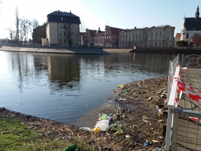 Wrocław: Góry śmieci na Wyspie Słodowej [ZDJĘCIA] - 22