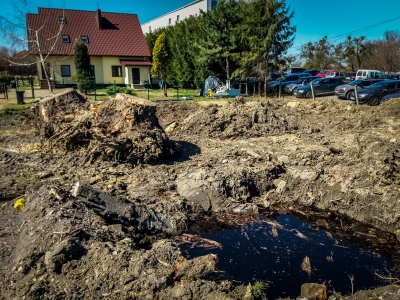 Wrocław: Przebudowa Buforowej - przyglądamy się wycince drzew [FOTO] - 1