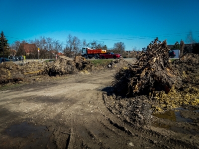 Wrocław: Przebudowa Buforowej - przyglądamy się wycince drzew [FOTO] - 4