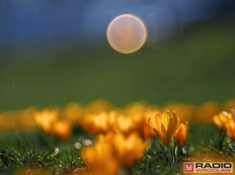 POGODA: Dziś do 24°C. Możliwe przelotne opady deszczu - fot. archiwum radiowroclaw.pl