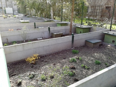 Trwa rozbudowa kłodzkiego ośrodka rehabilitacji dla jeży. Szpital przeżywa oblężenie - 16