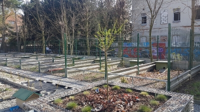 Trwa rozbudowa kłodzkiego ośrodka rehabilitacji dla jeży. Szpital przeżywa oblężenie - 2