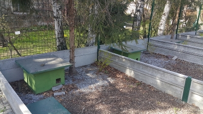 Trwa rozbudowa kłodzkiego ośrodka rehabilitacji dla jeży. Szpital przeżywa oblężenie - 5