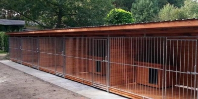 Oleśnickie Bidy apelują o wsparcie - 2