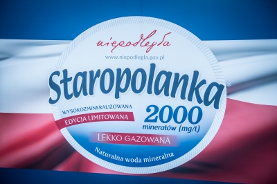 Wrocław: Wielki piknik z okazji święta flagi - 4